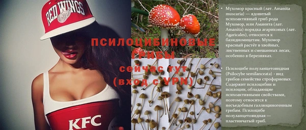 прущие крисы Аркадак